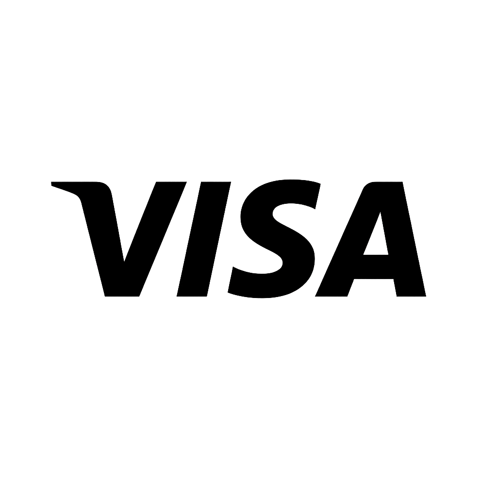 BetFury - Visa Payment Method