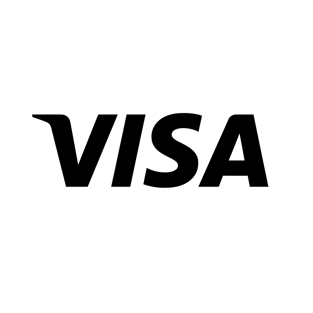 BetFury - Visa Payment Method